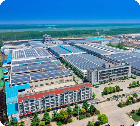 Company Profile